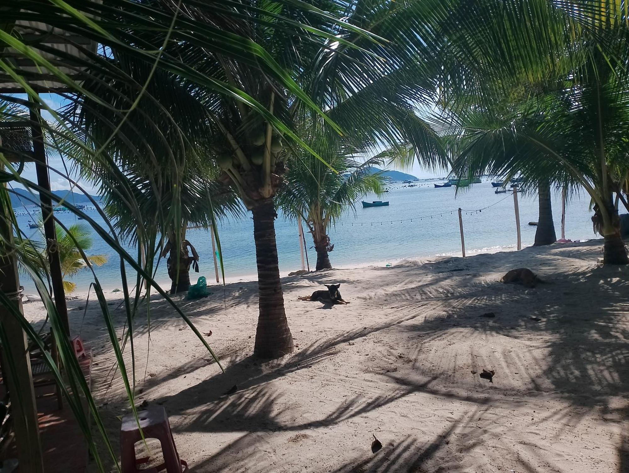 The Sunrise Anh Tu Hotel Cam Ranh Quarto foto